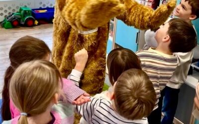 25 listopada –  Światowy dzień pluszowego misia