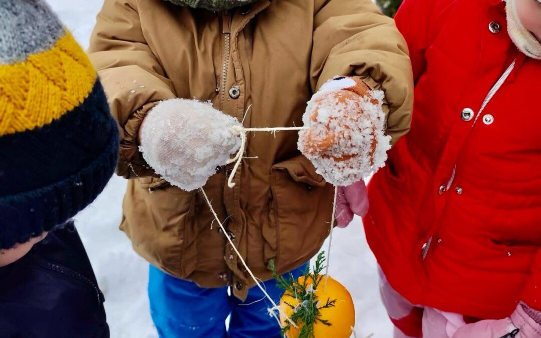 Dokarmiacie ptaki zimą? Nasze przedszkolaki pamiętają.